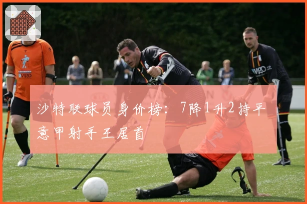 沙特联球员身价榜：7降1升2持平 意甲射手王居首