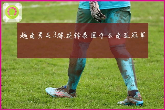 越南男足3球逆转泰国夺东南亚冠军