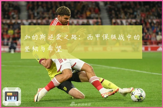 加的斯逆袭之路：西甲保级战中的坚韧与希望