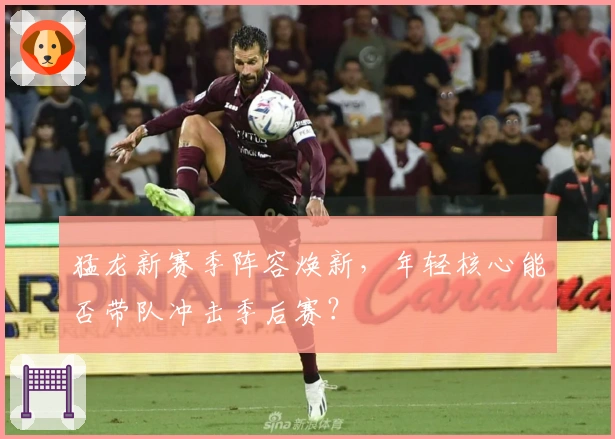 猛龙新赛季阵容焕新，年轻核心能否带队冲击季后赛？